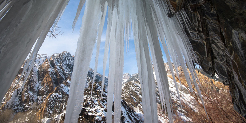Photo de Scott Osborn sur Unsplash